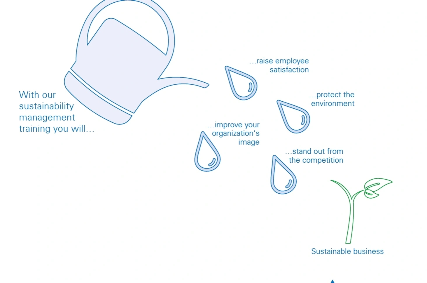 sustainable business training
